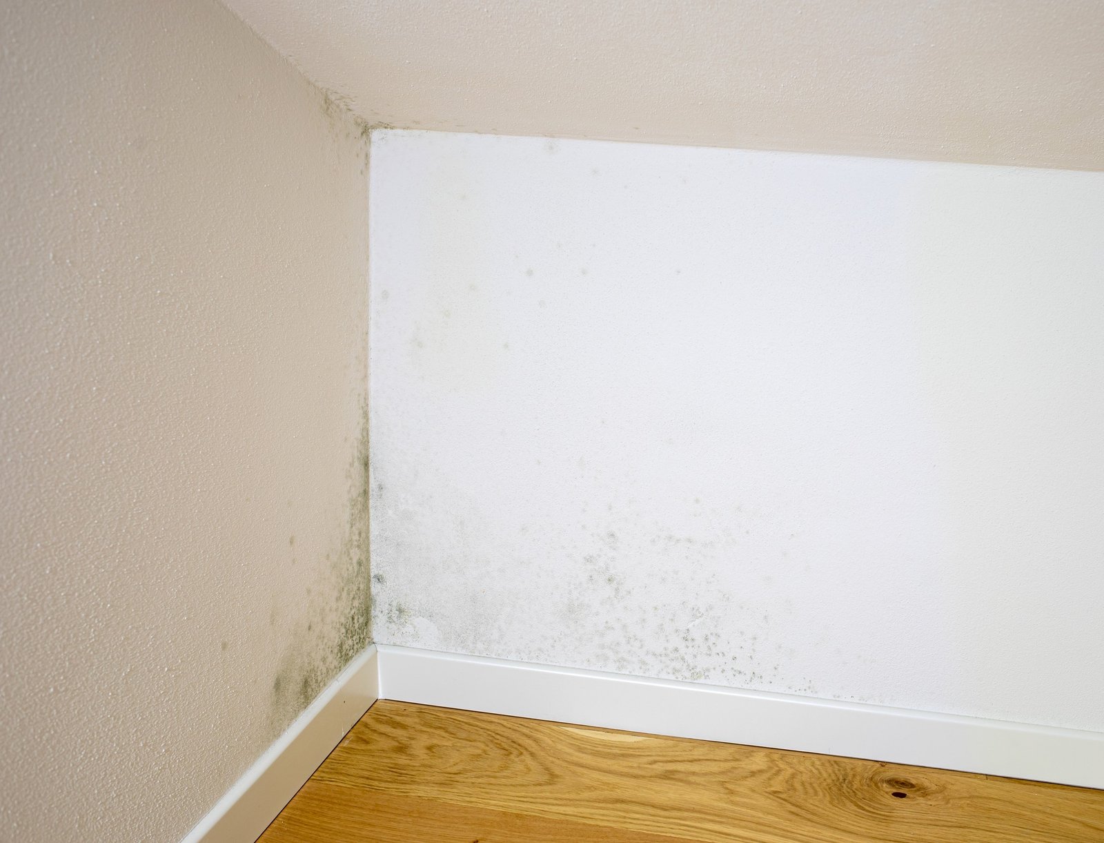 Schimmelflecken an der Wand im Schlafzimmer